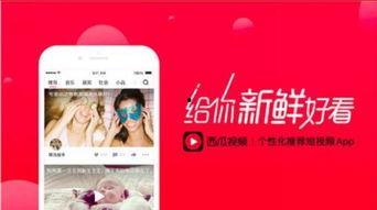 吃瓜娱乐封面怎么做视频,揭秘吃瓜娱乐封面视频制作全攻略 第3张 吃瓜娱乐封面怎么做视频,揭秘吃瓜娱乐封面视频制作全攻略 第3张