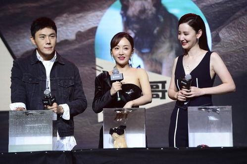 综艺娱乐圈吃瓜爆料视频,吃瓜爆料视频背后的真相大起底  第3张