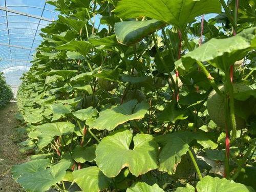 娱乐吃瓜2022 第2张 娱乐吃瓜2022 第2张